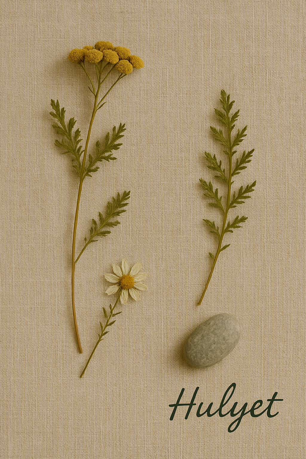 Doğal Bakım ve Koruma Ürünleri | Hülyet Naturèl

Damar otu, pire otu, sarı kantaron ve bitkisel özlerle formüle edilmiş doğal koruma ürünleri.
Haşere, güneş ve dış etkenlere karşı zararsız, el yapımı formüller. Hülyet – Doğanın Koruyucu Gücü.